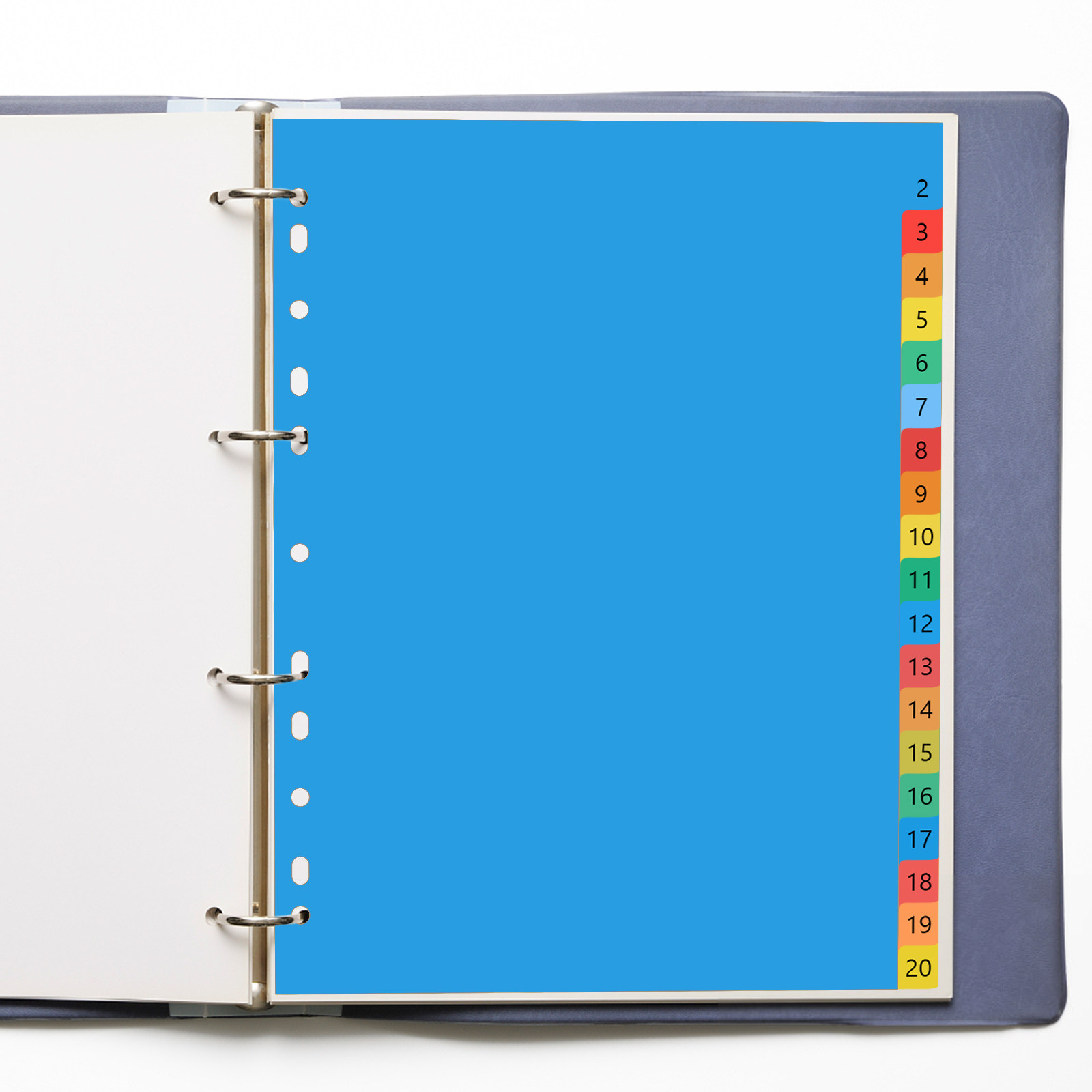 20 Pages A4 Colorful Plastic T - Tab Divider A4 评论和价格